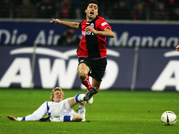 育全貌的镜 育全貌的镜