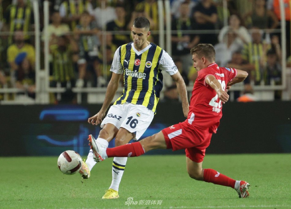 真正的黑马 真正的黑马